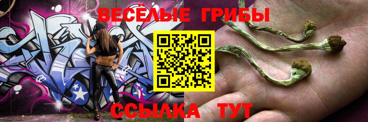 Галлюциногенные грибы мухоморы  Вход с VPN  Элиста 
