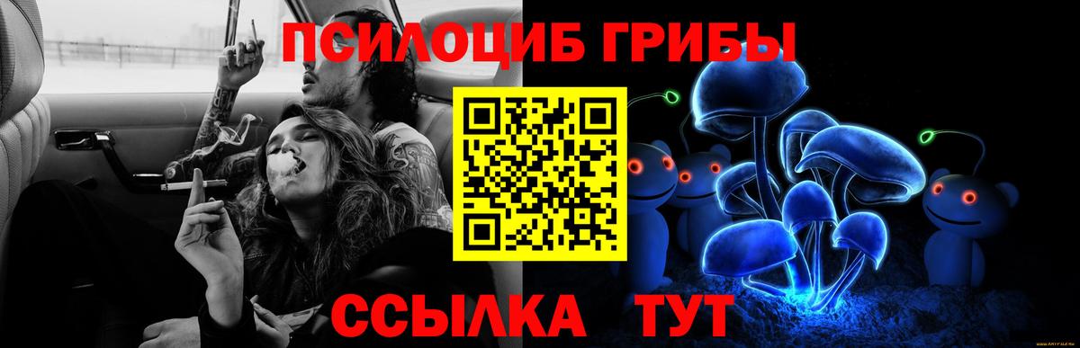 Псилоцибиновые грибы мухоморы Элиста