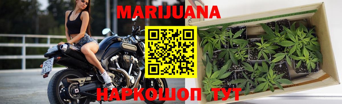 Бошки Шишки OG Kush  Канабис сатива  Вход с VPN  Конопля гибрид  МАРИХУАНА AK-47  Элиста 